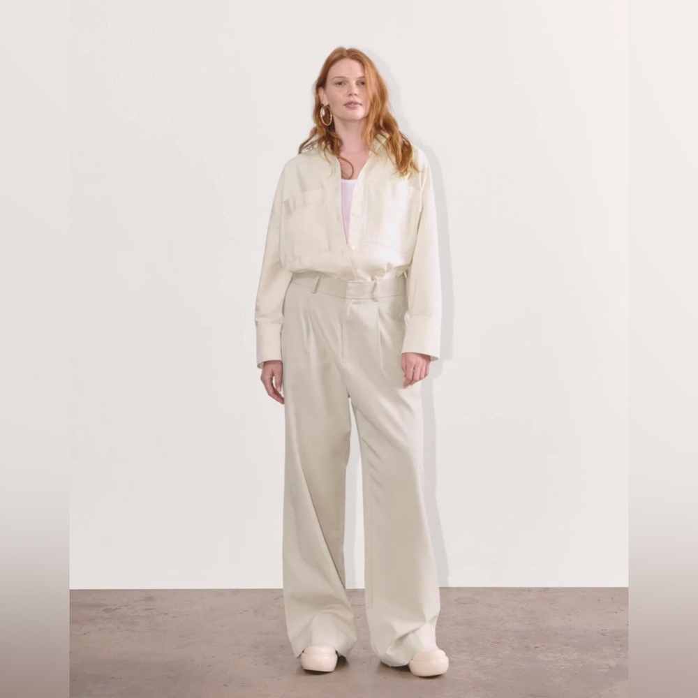 Everlane draper pleated pant in buttersmooth
